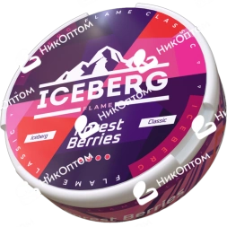 ICEBERG - Forest Berries (120mg)
